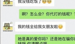 胖猫后续爆料视频,揭秘更多惊人内幕
