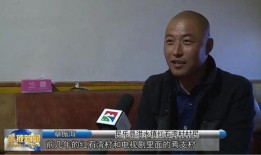 刘伟爆料家暴视频播放时间,播放时间引发热议