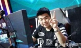 东北小哥爆料青龙视频播放,青龙视频播放背后的秘密