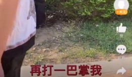 赵阿姨最新爆料视频播放,惊人内幕大公开！