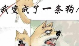 话唠吃瓜小说免费阅读,揭秘娱乐圈幕后故事，免费畅读独家秘闻