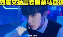 美媒爆料刘耀文视频下载,美媒独家爆料背后真相
