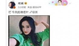 吃瓜娱乐id,揭秘“吃瓜娱乐”ID背后的热门话题与娱乐焦点