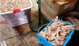 黑作坊炸鸡最新爆料信息,食品安全问题触目惊心