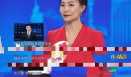 新闻网红爆料视频,新闻背后惊人真相