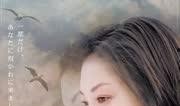 《海猫》在线观看,探寻神秘岛屿的惊悚之谜