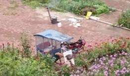 和平花园爆料事件视频播放,真相究竟如何？