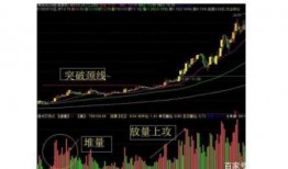 中国股市大爆料视频播放,大爆料视频深度解析