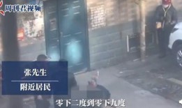 唐山打人男子爆料视频网,男子爆料视频揭露惊人真相