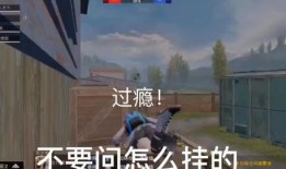 和平精英明天新爆料视频,神秘武器即将亮相，明日视频揭秘！