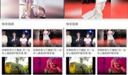 七点明星爆料视频大全集,揭秘娱乐圈幕后真相