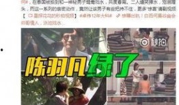 四美废案最新爆料视频,最新爆料视频深度解析