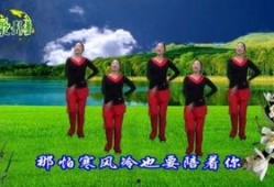 爆料花桥流水视频,揭秘古桥之美，探寻历史记忆