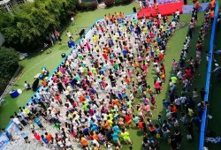 南京六一最新爆料,揭秘神秘事件背后的真相