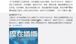 肇东最新爆料新闻视频播放,视频揭秘惊人真相，引发社会热议