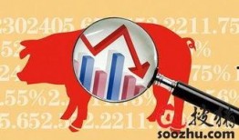 猪价最新爆料新闻网,全网热议，涨跌背后的真相揭晓！