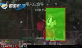 黑坑江湖爆料视频大全下载,揭秘垂钓界风云变幻