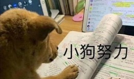 狗子今日爆料图片,今日图片背后的惊人真相