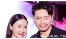 明星绯闻大瓜爆料事件视频,明星绯闻大瓜事件视频全解析