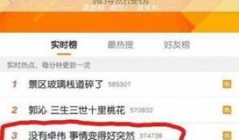 爆料大神卓伟简介视频,爆料大神背后的故事与传奇