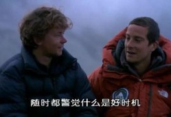 贝爷被爆料视频大全集下载,揭秘野外求生极限挑战幕后真相