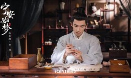 宁安如梦的最新爆料,揭秘娱乐圈背后的惊人真相！