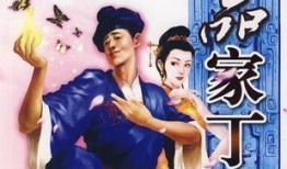 极品家丁在线观看全集,笑料百出，宫廷风云尽收眼底