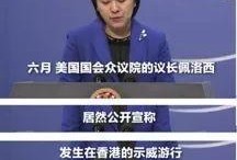 法媒爆料佩洛西新闻事件,揭秘美国国会山事件背后真相”