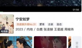 宁安如梦的最新爆料,揭秘娱乐圈背后的惊人真相！