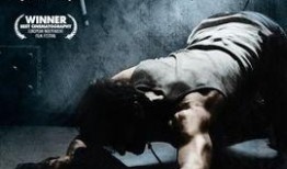 铁门电影在线观看,揭秘热门影视作品的魅力所在