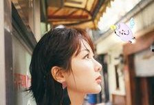 杨紫爆料名字大全最新,娱乐圈明星名字背后的秘密大公开