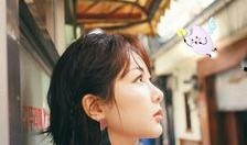 杨紫爆料名字大全最新,娱乐圈明星名字背后的秘密大公开