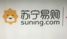 苏宁易购最新爆料,揭秘神秘新品及重大战略布局