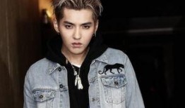 吴亦凡妈妈最新爆料,揭秘儿子事业低谷背后的真相