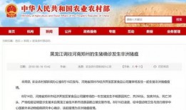 徐州今日爆料新闻最新消息,突发事件引发社会关注