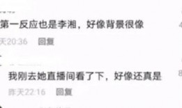 三亚主持人房东爆料视频,揭秘三亚民宿行业内幕