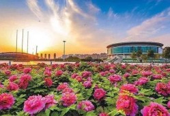 洛阳植物园爆料案件最新,惊现神秘盗窃案，真相即将揭晓