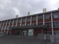 鹤岗火车站爆料事件视频,真相与争议的交织