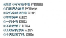 胖猫后续爆料视频,揭秘更多惊人内幕