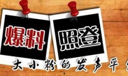 劳务新闻爆料,最新爆料揭示行业变革与挑战