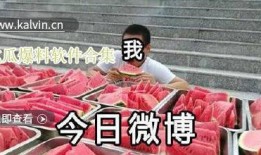 热门吃瓜视频爆料大全最新,最新爆料大全大揭秘！