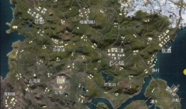 新地图最新爆料视频播放