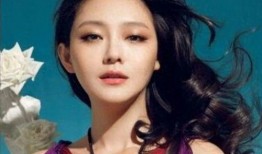 郑仲茵经纪人爆料视频,独家爆料视频背后的故事