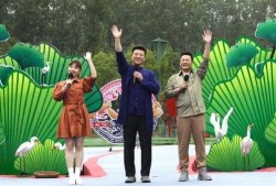 四会最近爆料新闻事件视频,惊曝事件视频引发热议