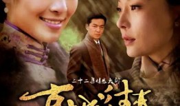 古城往事电视剧全集在线观看,穿越时空的传奇之旅