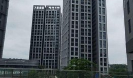 深圳小陈最新爆料,揭秘最新热点事件内幕