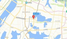 武汉洪山区最新爆料电话,揭秘背后真相