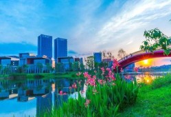 成都天府新区最新爆料,未来城市蓝图揭秘，区域发展新篇章即将开启