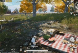 和平花园爆料事件视频播放,真相究竟如何？