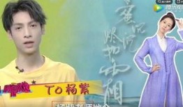 杨紫爆料名字大全最新,娱乐圈明星名字背后的秘密大公开